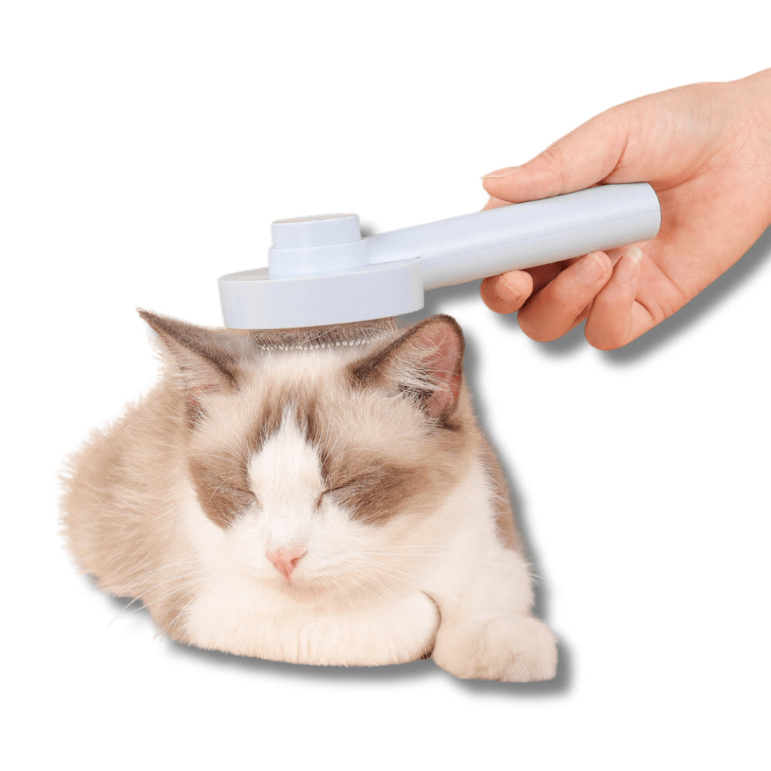 Self-Cleaning Slicker Brush for Effortless Pet Grooming