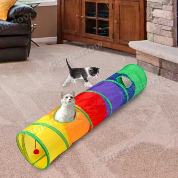 Rainbow Cat Tunnel – view 3