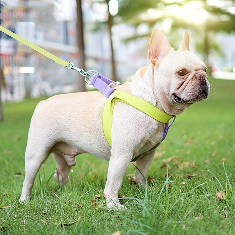 Rainbow Colorblock Dog Harness & Leash Set