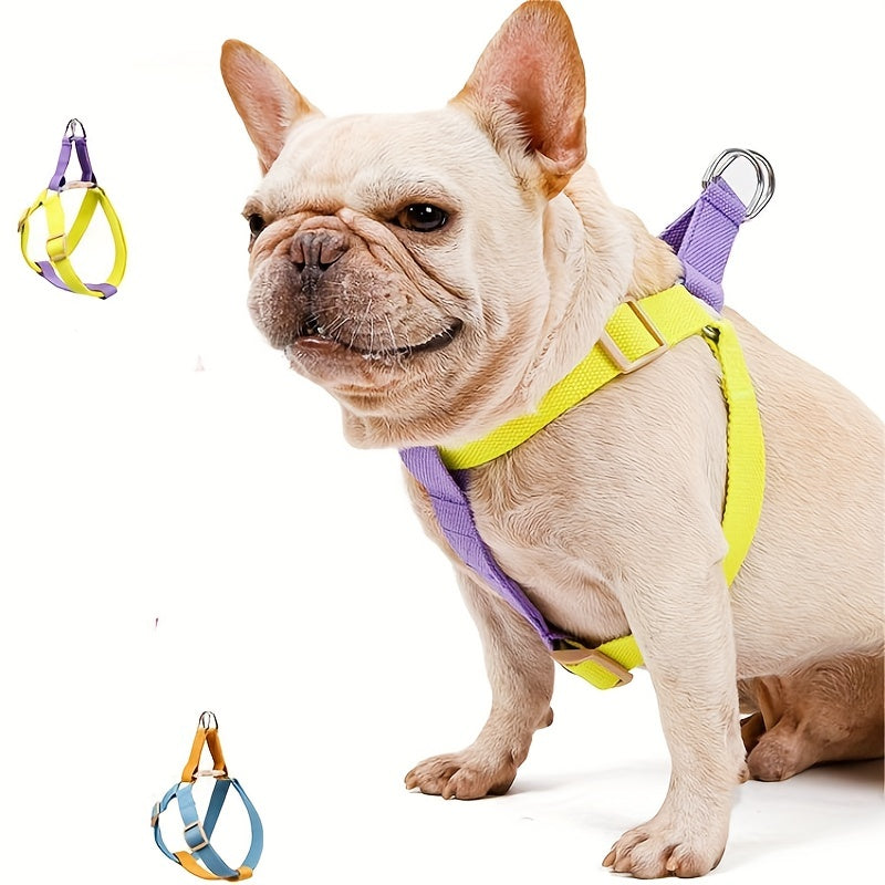Rainbow Colorblock Dog Harness & Leash Set – Purple / S