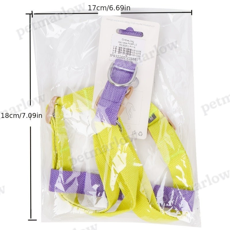 Rainbow Colorblock Dog Harness & Leash Set – view 4