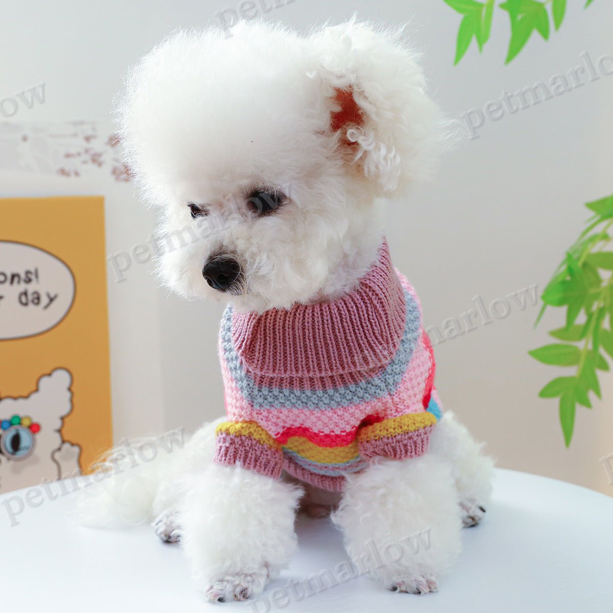 Rainbow Colorful Stripes Pet Sweater – view 3
