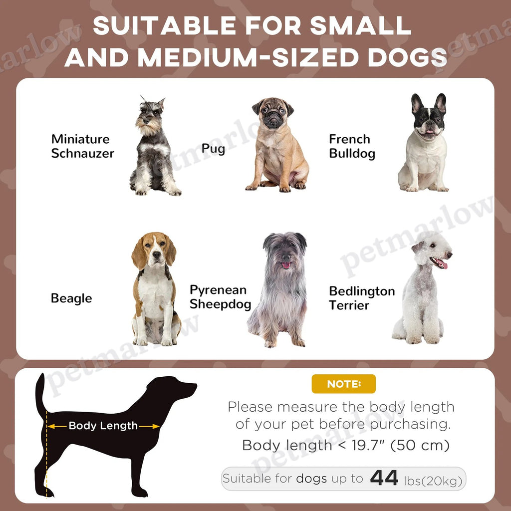 Raised Dog Bed with Canopy for Outdoor Comfort – view 4