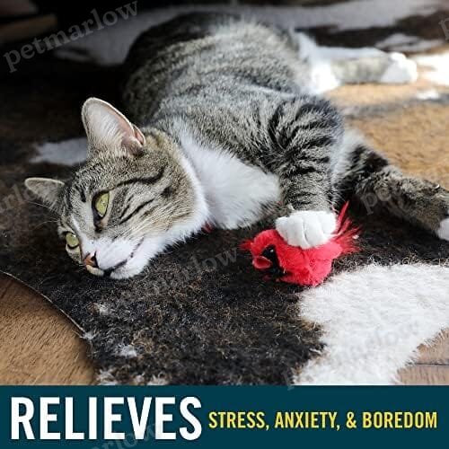 Real Birds Interactive Cat Toys with Catnip – view 3