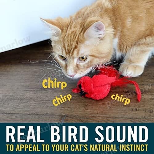 Real Birds Interactive Cat Toys with Catnip – view 4