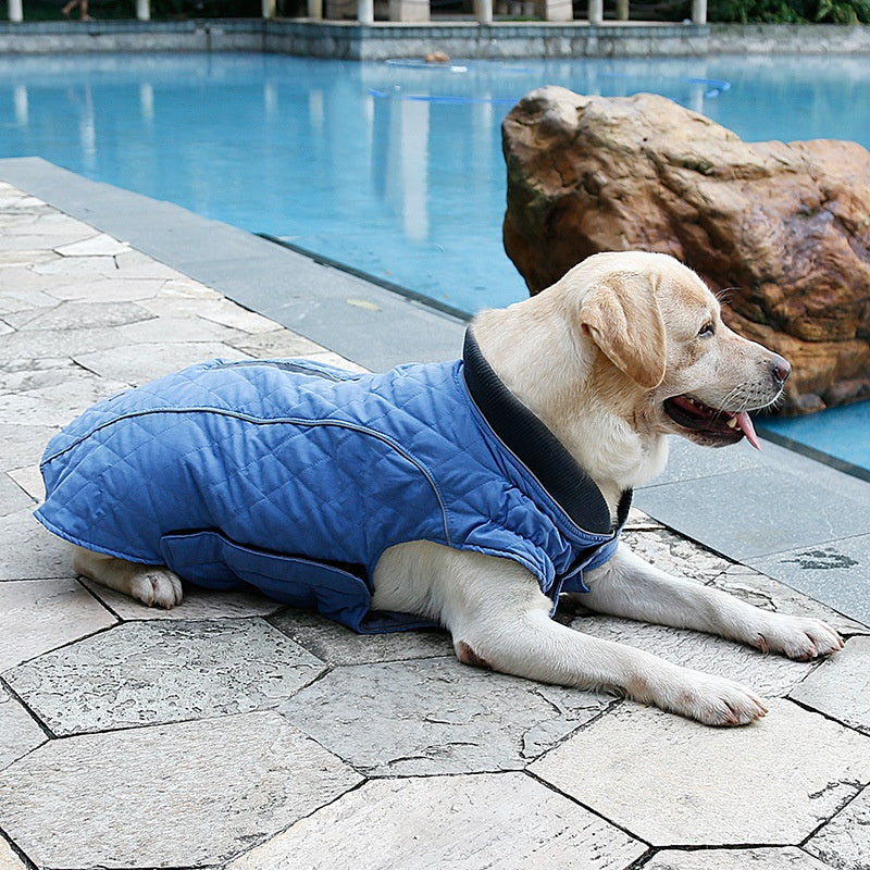 Reflective Dog Coat with Leash Attachment
