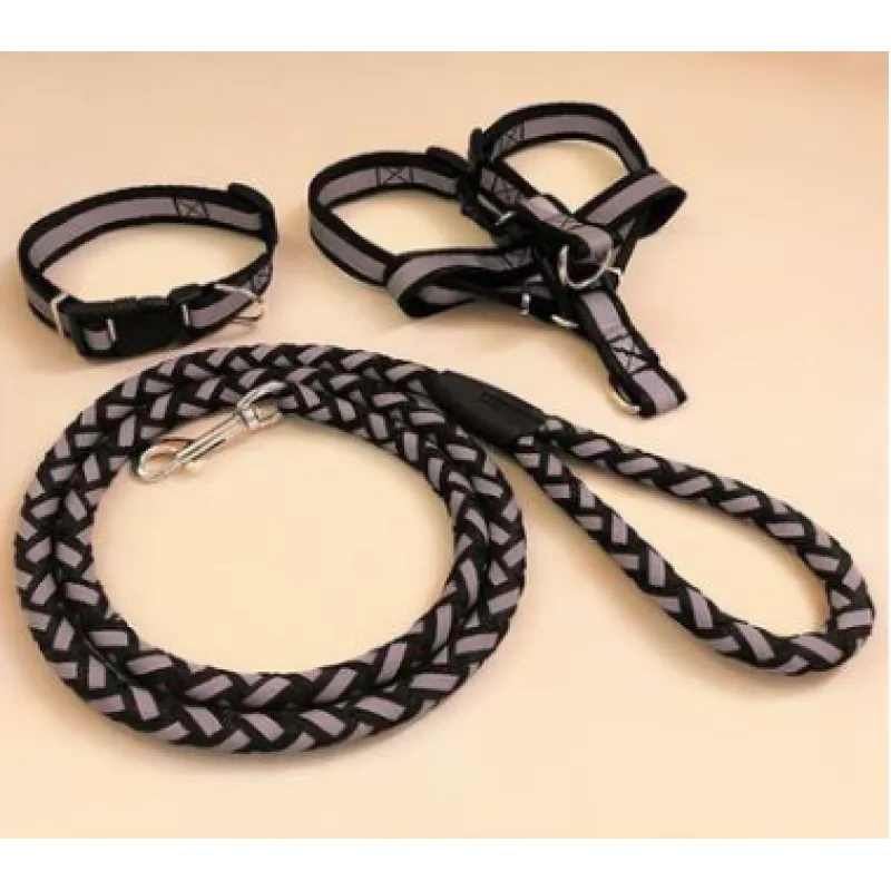 Reflective Dog Harness with Leash – Black / S