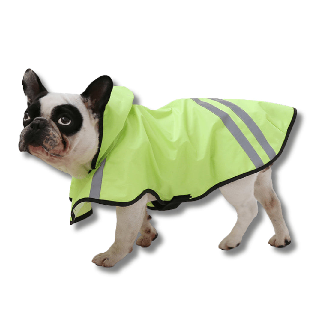Reflective Dog Raincoat for Safety and Dryness