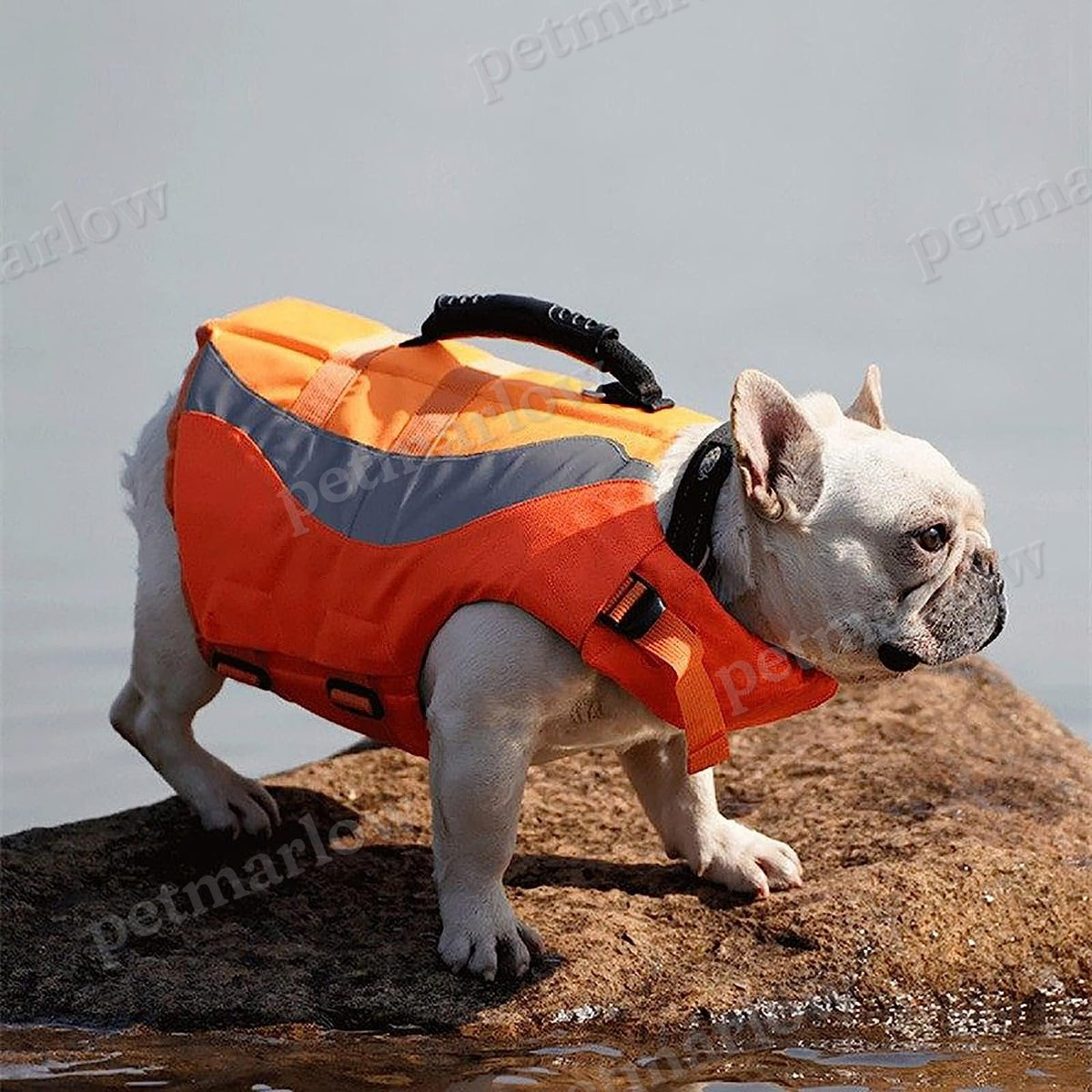 Reflective Life Jacket for Dogs – view 4
