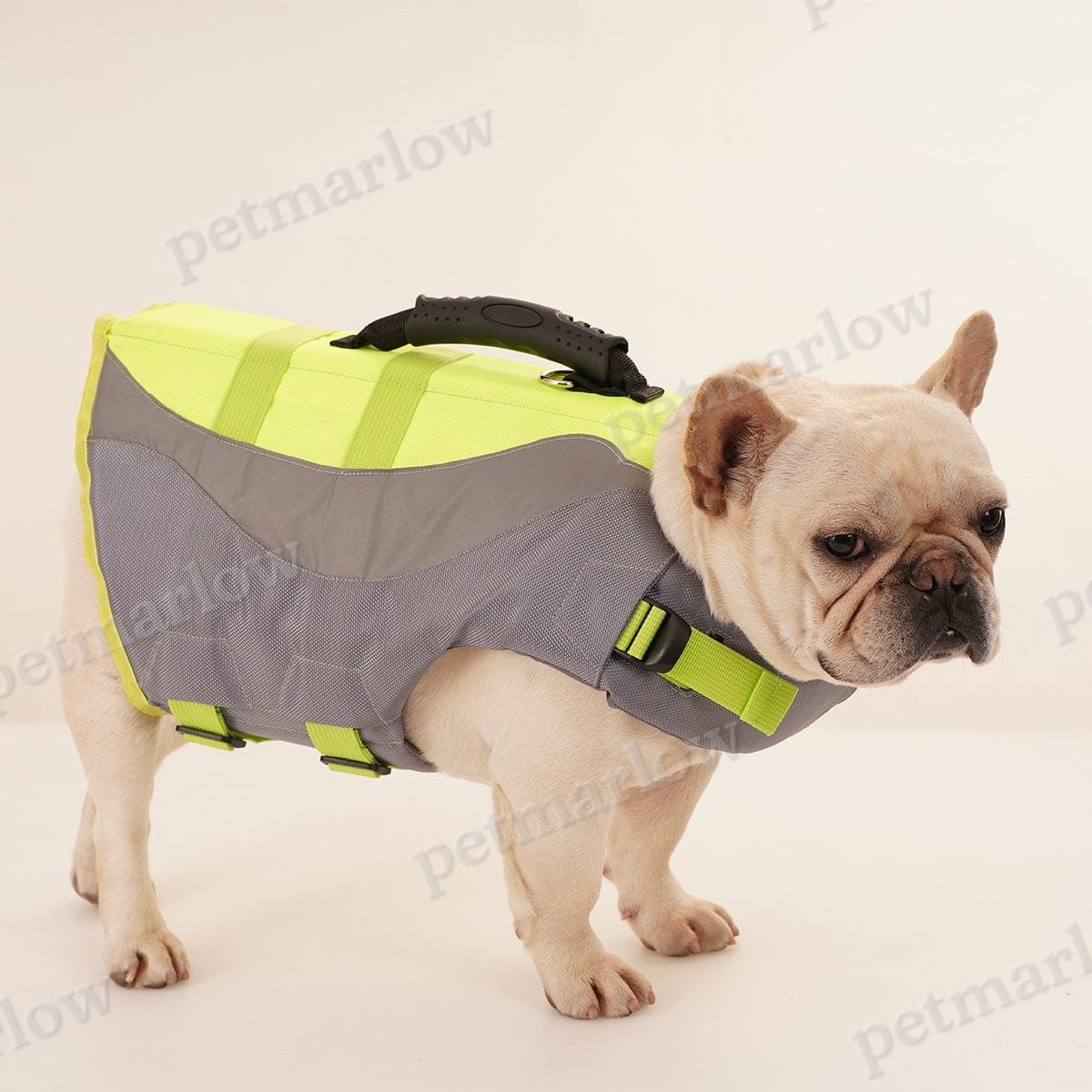 Reflective Life Jacket for Dogs – view 6