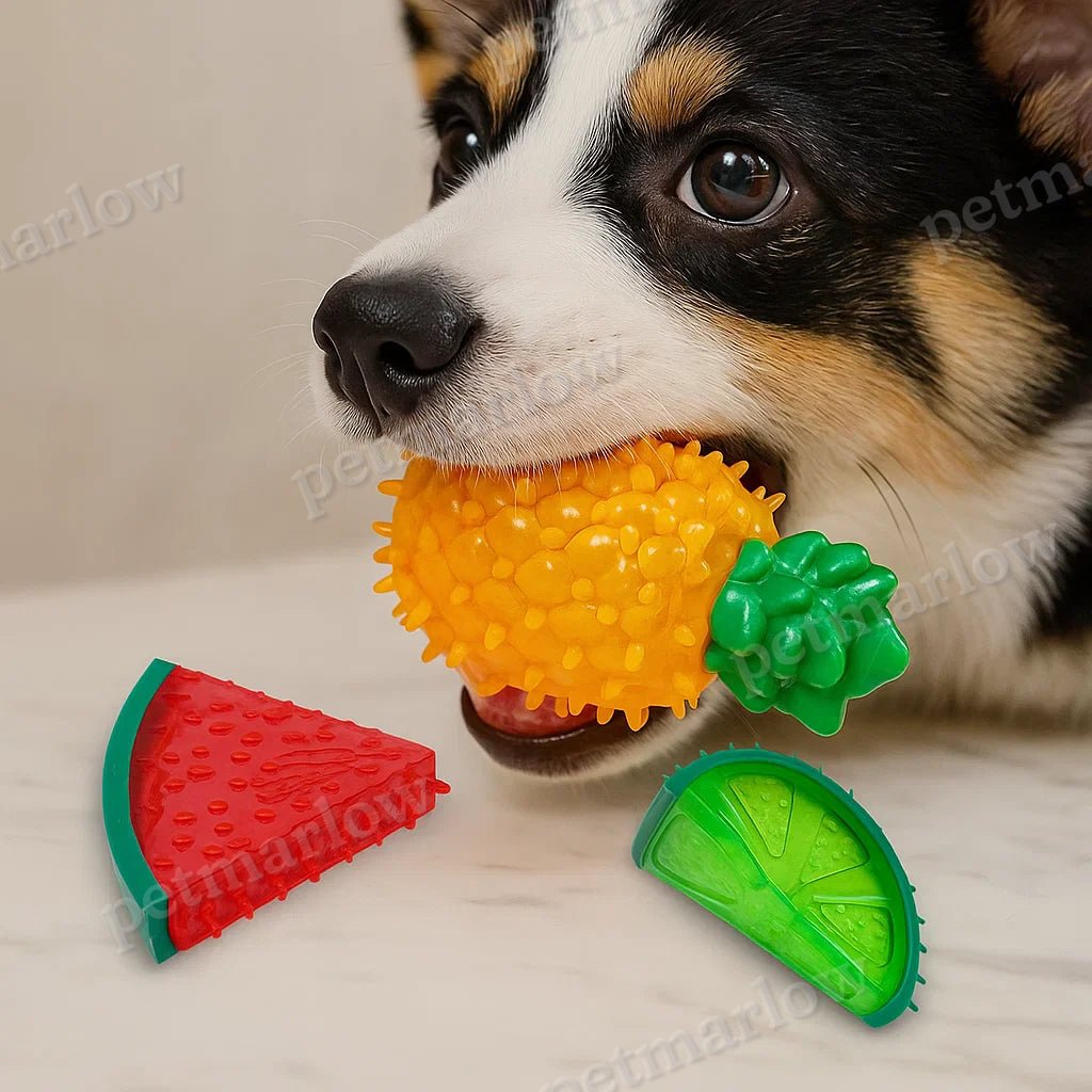 Refreshing Fruit-Shaped Chew Toy for Dogs – view 4