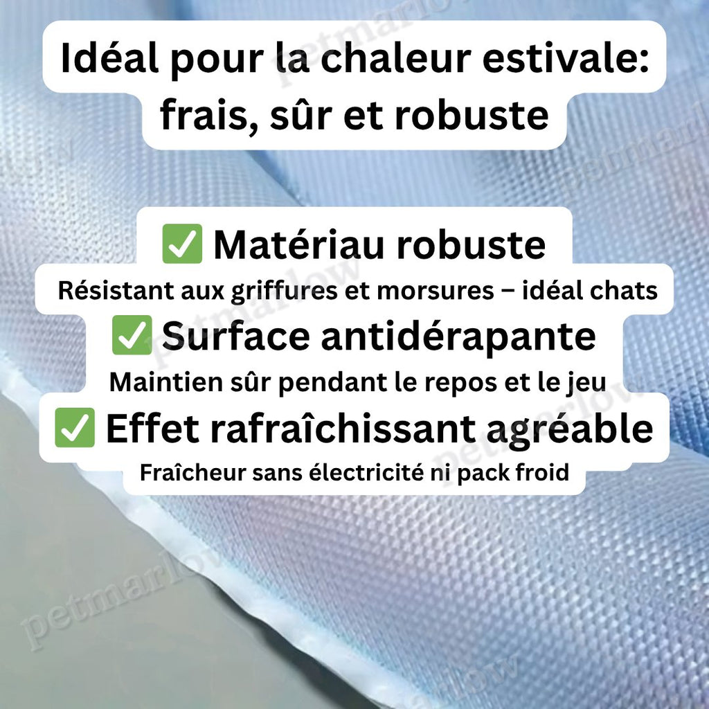 Refreshing Water Mat for Cats 2.0 – view 2