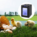 Reptile Incubator with Precise Temperature Control – Black