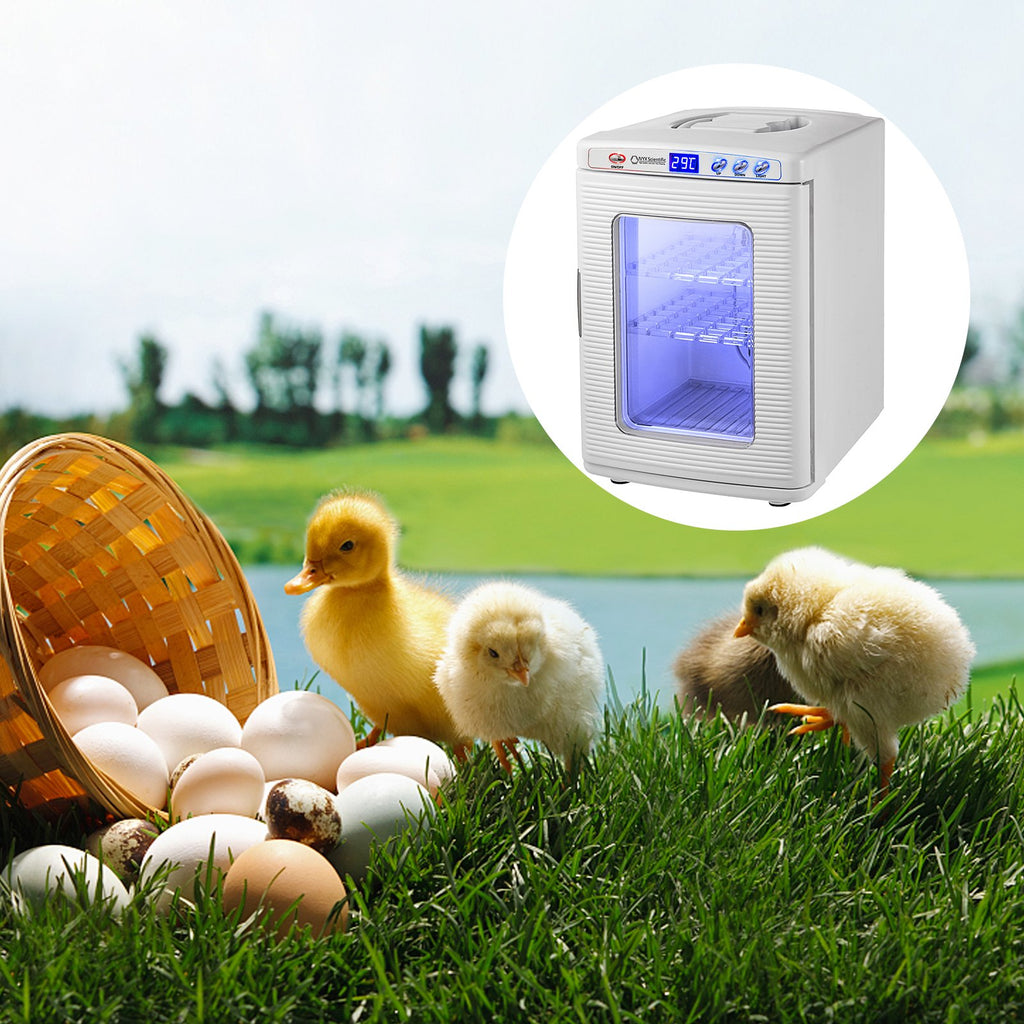 Reptile Incubator with LED Display – White
