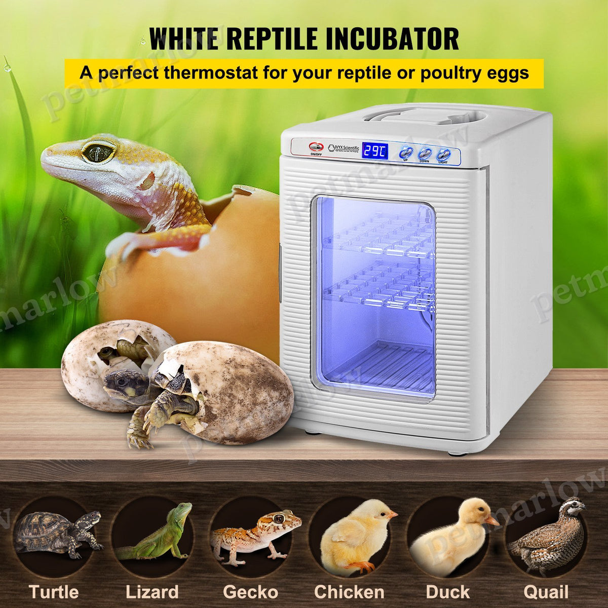 Reptile Incubator with LED Display – view 3