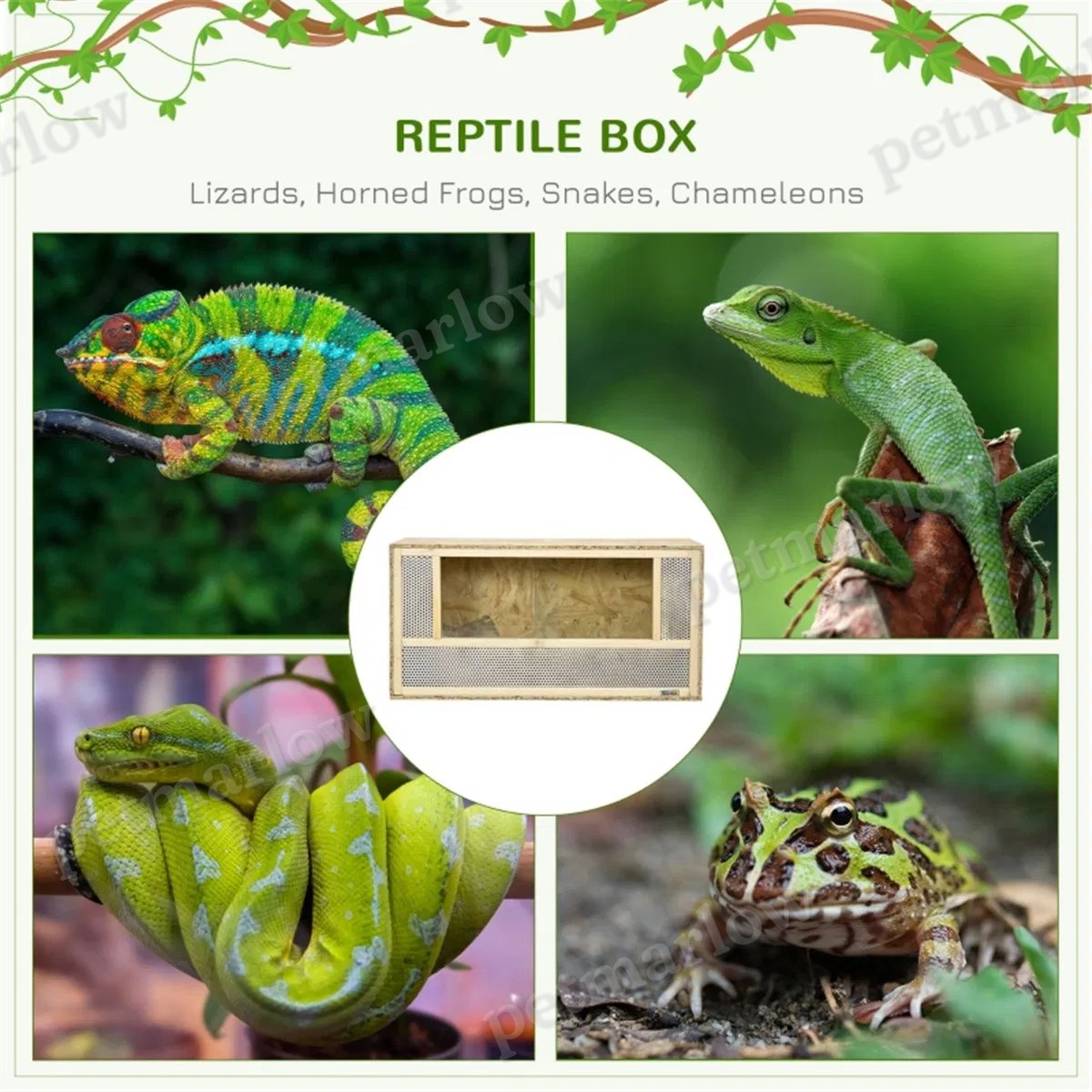 Reptile Terrarium with Ventilation and Sliding Doors – view 6