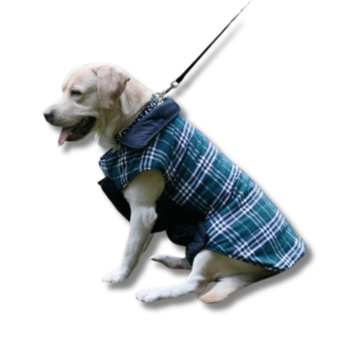 Reversible Warm Dog Coat for Chilly Weather