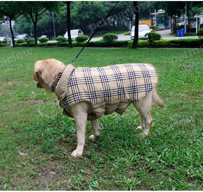 Reversible Warm Dog Coat for Chilly Weather – view 6