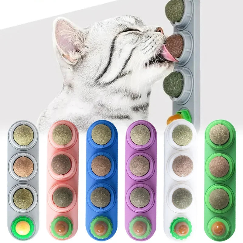 Rotating Catnip Ball Toy for Cats and Dogs