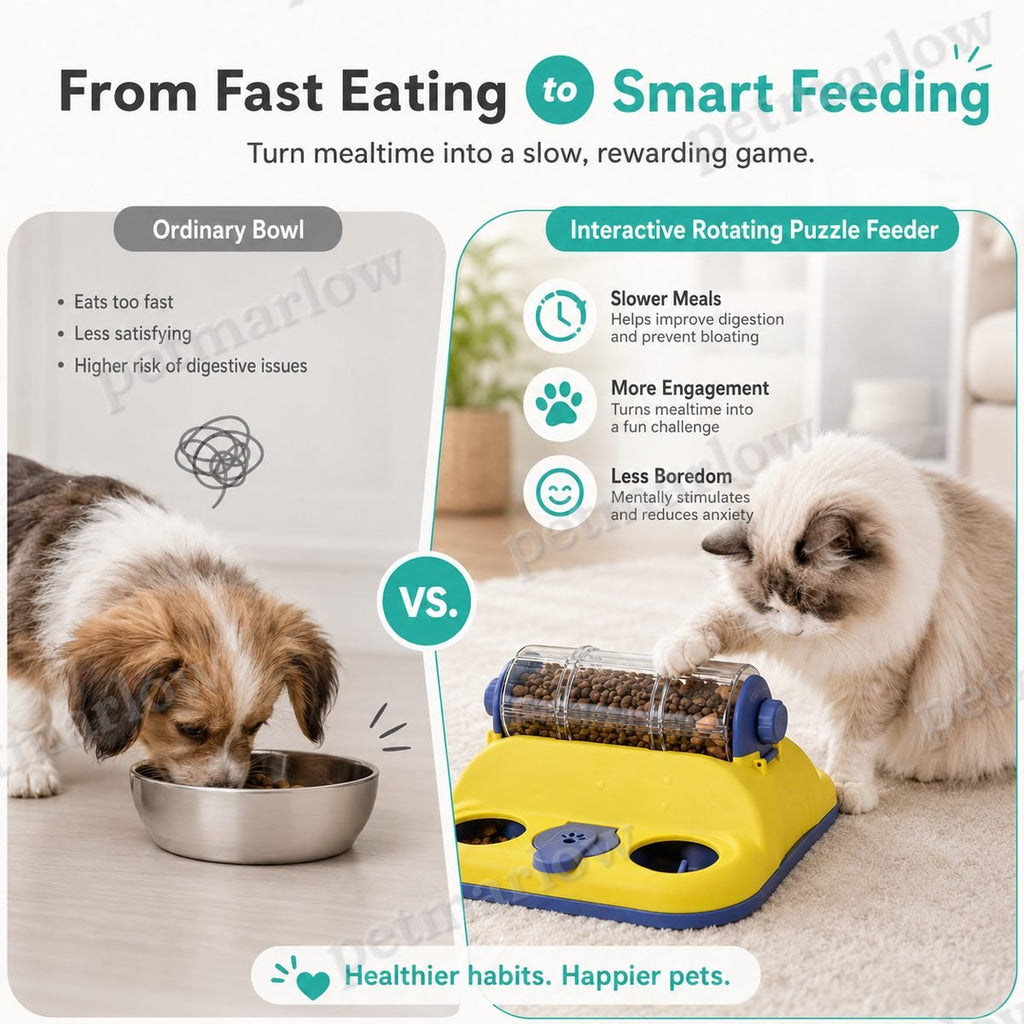 Rotating Slow-Feed Puzzle Feeder – view 4