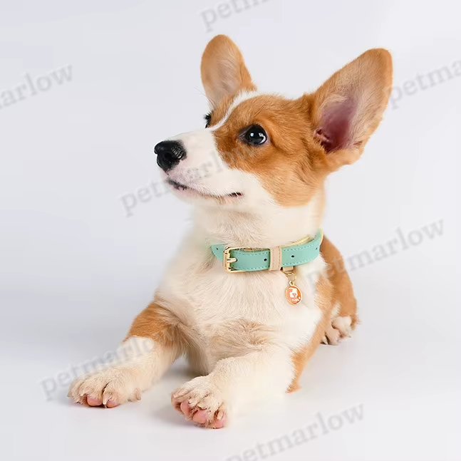 S M L Dog Collar – view 3