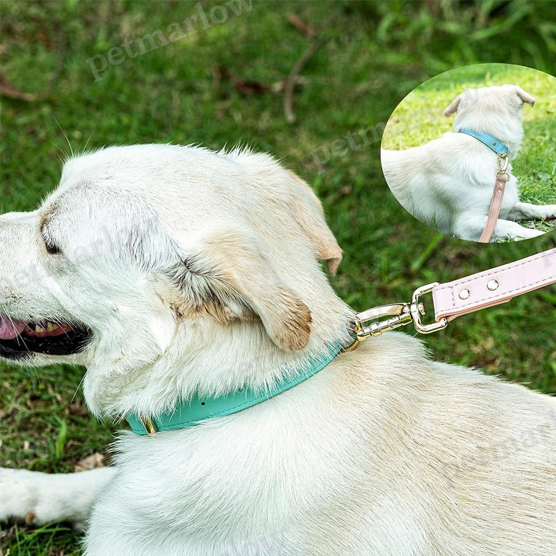 S M L Dog Collar – view 5