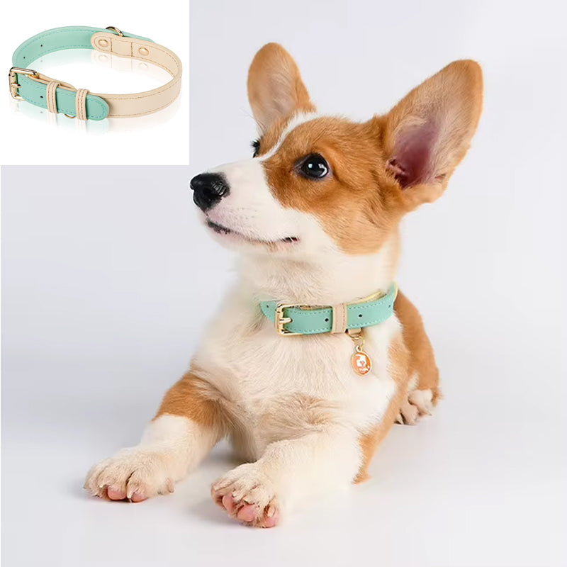 Adjustable Leather Dog Collar for All Sizes