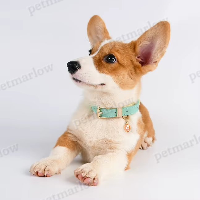 Adjustable Leather Dog Collar for All Sizes – view 4