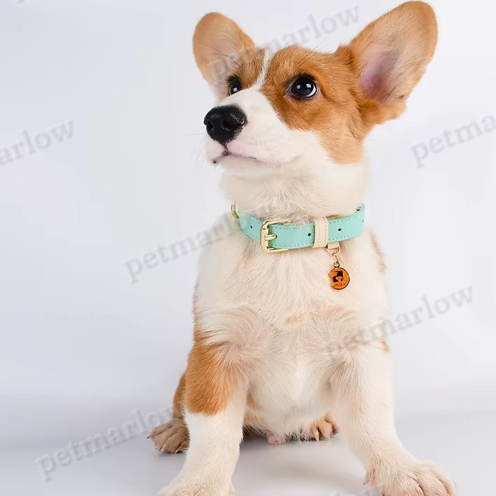 Adjustable Leather Dog Collar for All Sizes – view 5