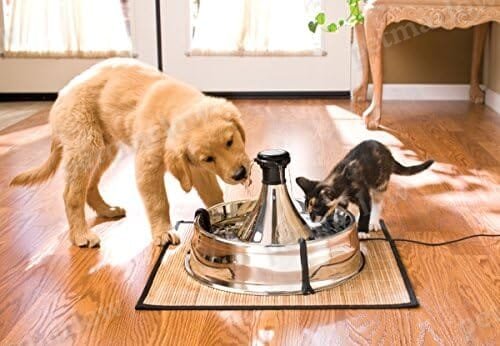 Scratch and Rust Resistant Automatic Water Dispenser for Pets- Filters Included – view 2