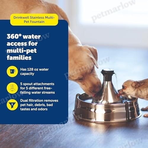 Scratch and Rust Resistant Automatic Water Dispenser for Pets- Filters Included – view 3