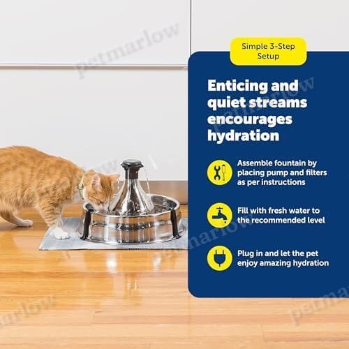Scratch and Rust Resistant Automatic Water Dispenser for Pets- Filters Included – view 6