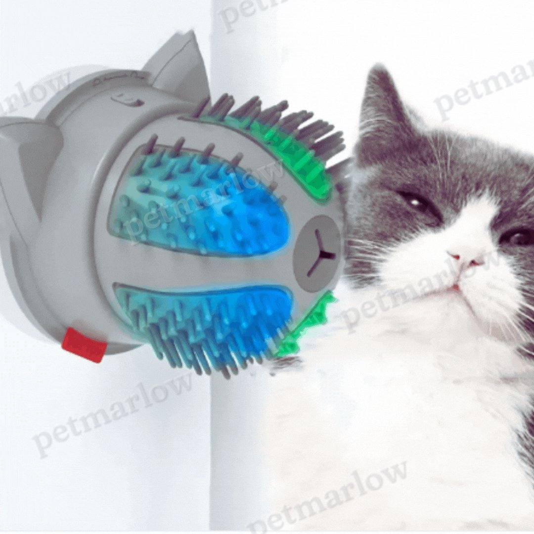 Self-Grooming Electric Cat Brush with Catnip Compartment and Dual Power Supply – view 2