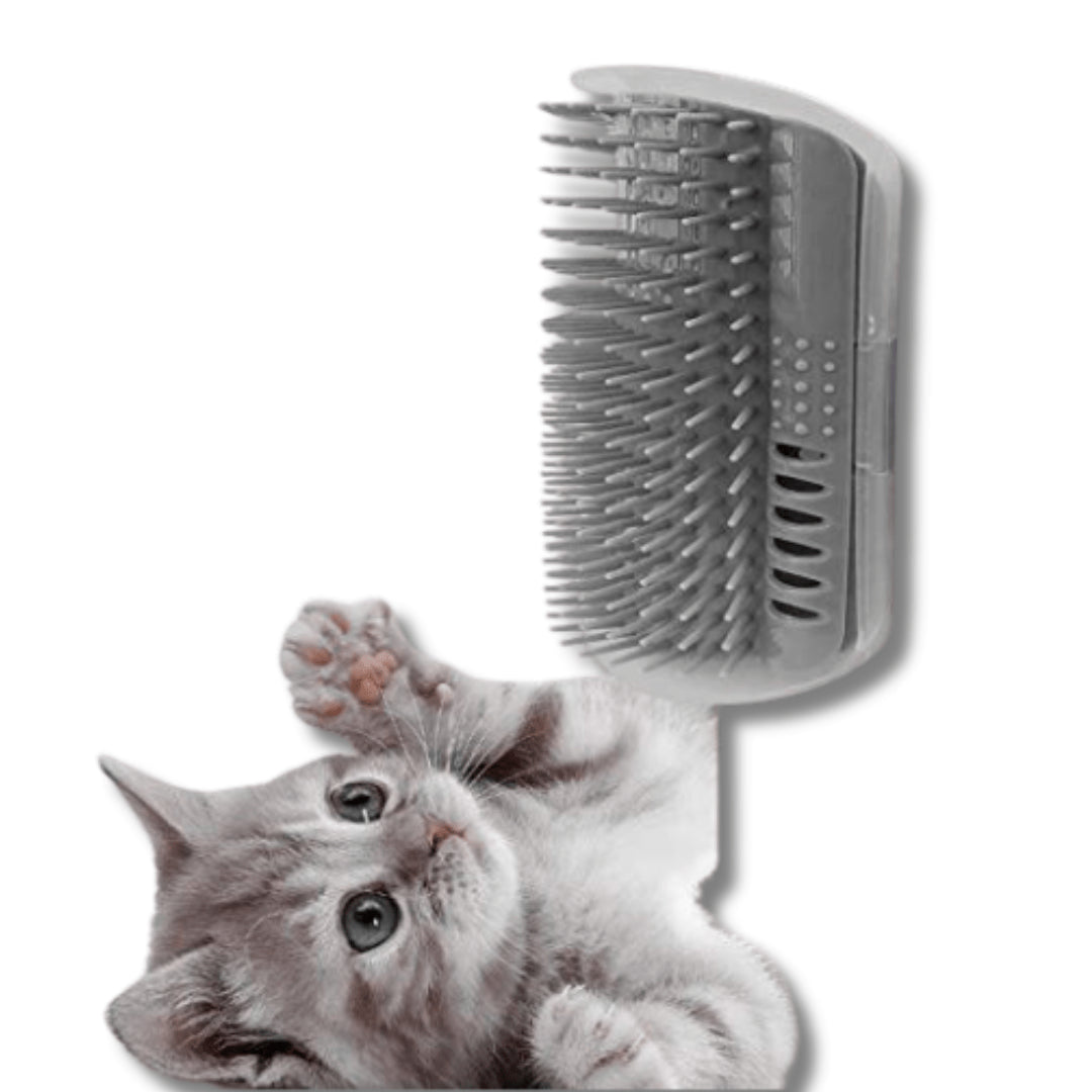 Self-Grooming Rubbing Brush