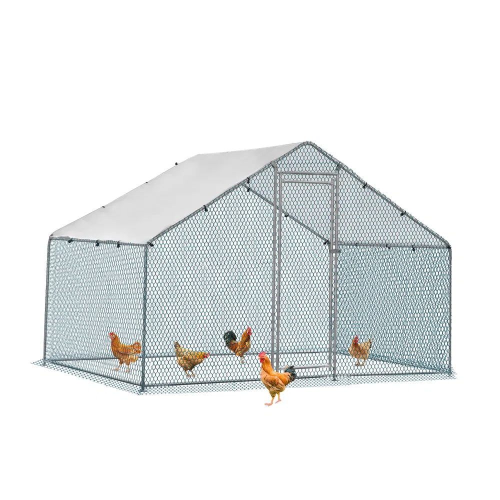 Silver Chicken Coop With Pyramid Roof for Poultry – Defaulttitle