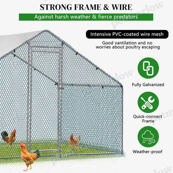 Silver Chicken Coop With Pyramid Roof for Poultry – view 3