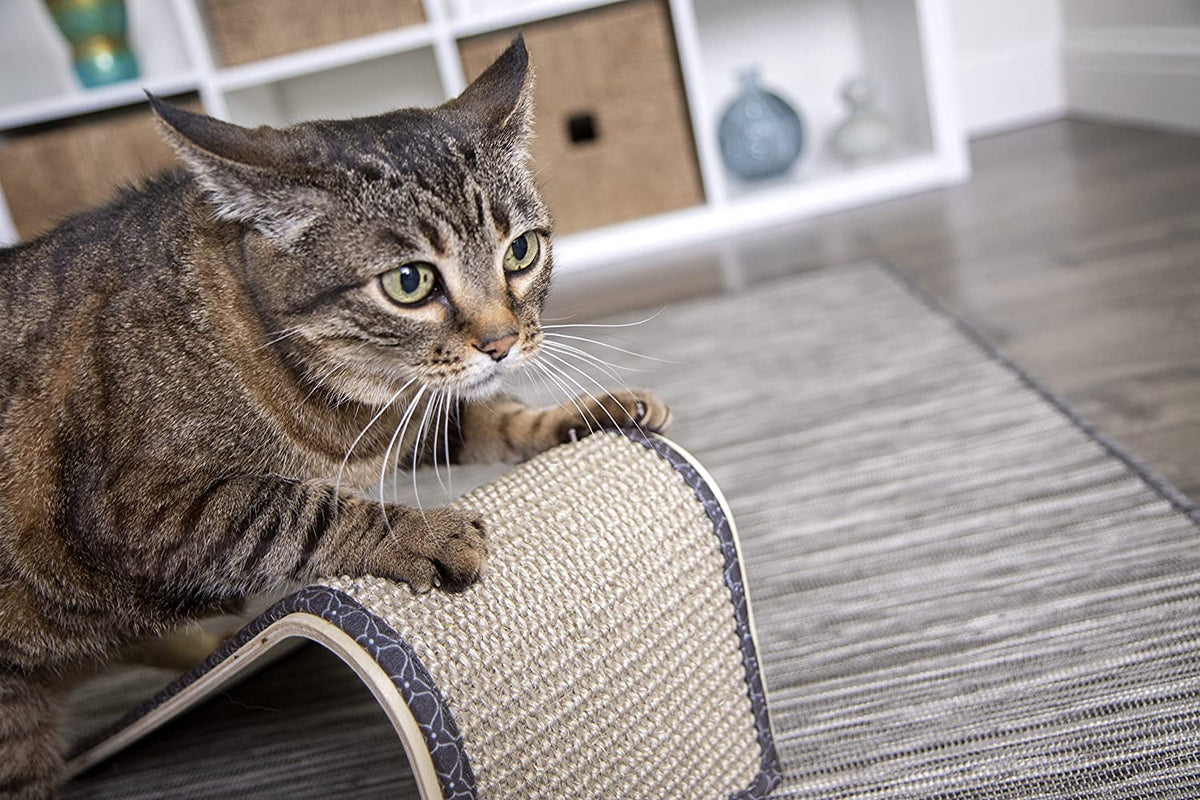 Sisal Angle Ramp Cat Scratcher with Catnip – view 11