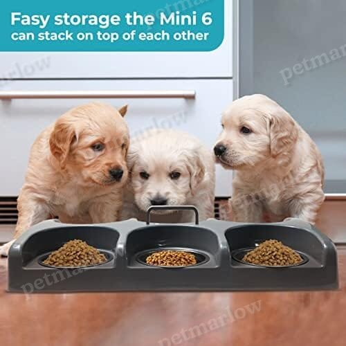 Six Bowl Puppy Kitten Feeder Station – view 4