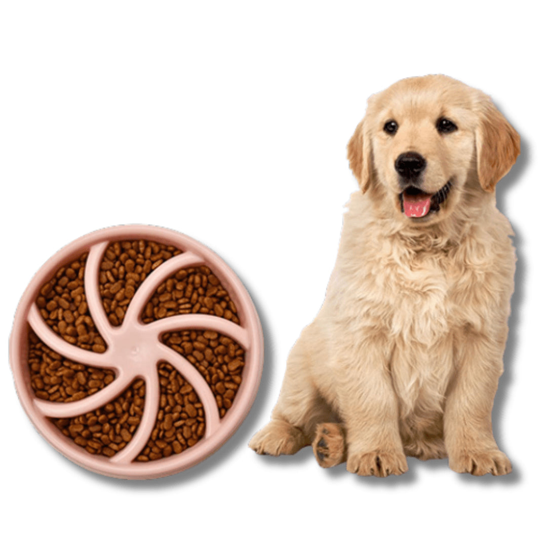Slow Feeder Pet Bowl