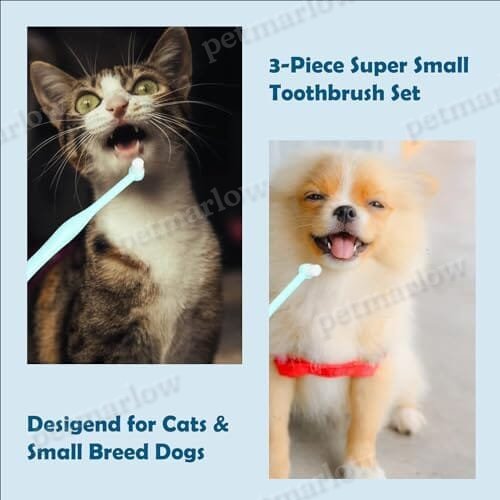 Small Breed Toothbrush Kit for Dogs & Cats 1/4' Pointed, 1/4' Flat, 3/8' Regular Brushes (3-Piece) – view 3