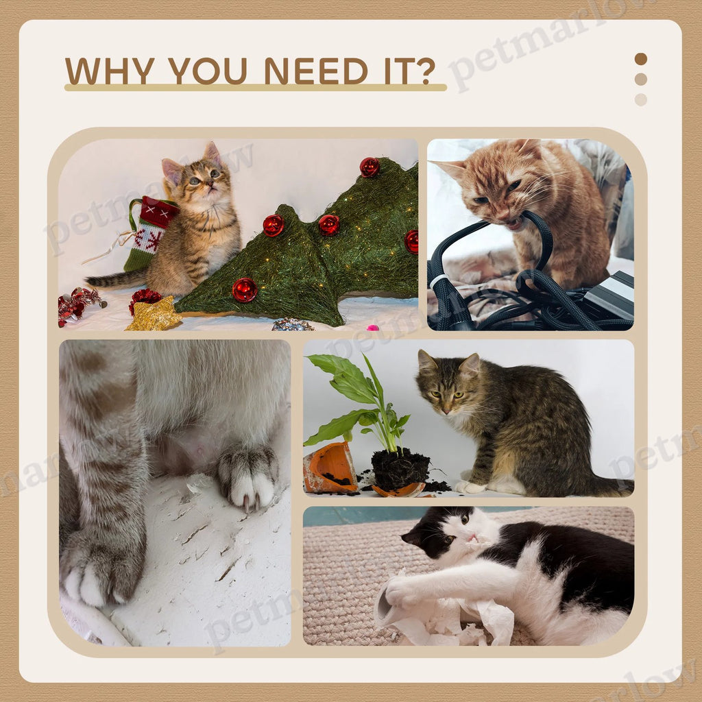 Small Cat Tower with Perch and Scratching Post for Indoor Use – view 4
