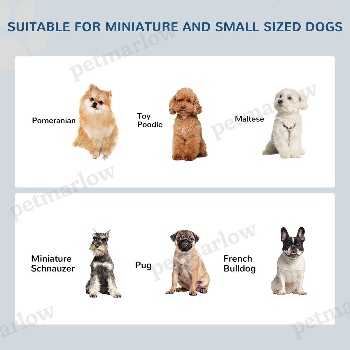 Small Puppy Dog Feeding Station with Elevated Bowls – view 5