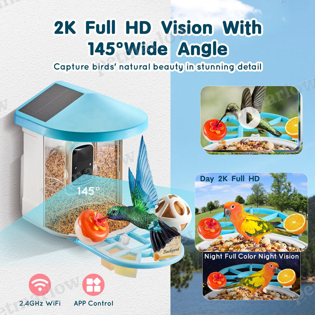 Smart Bird Feeder With AI Camera for Bird Identification – view 3