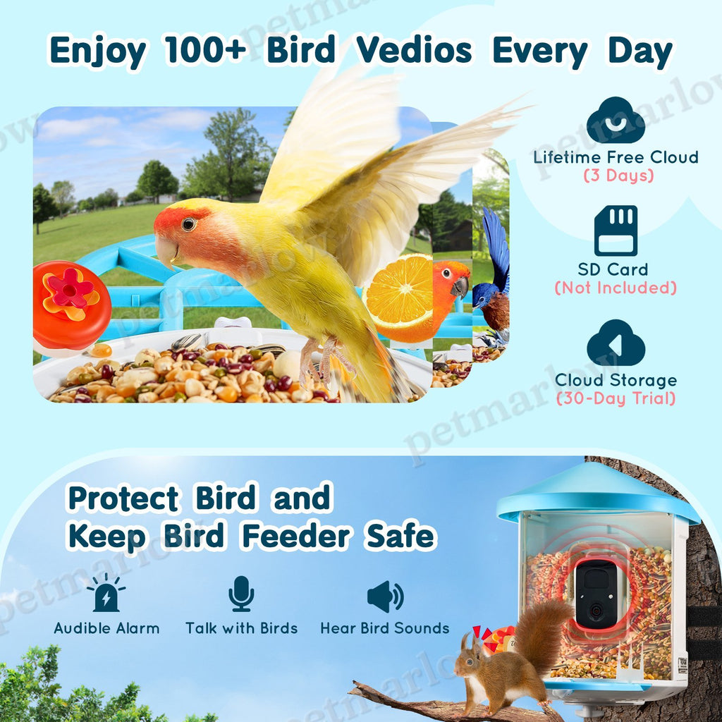 Smart Bird Feeder With AI Camera for Bird Identification – view 6