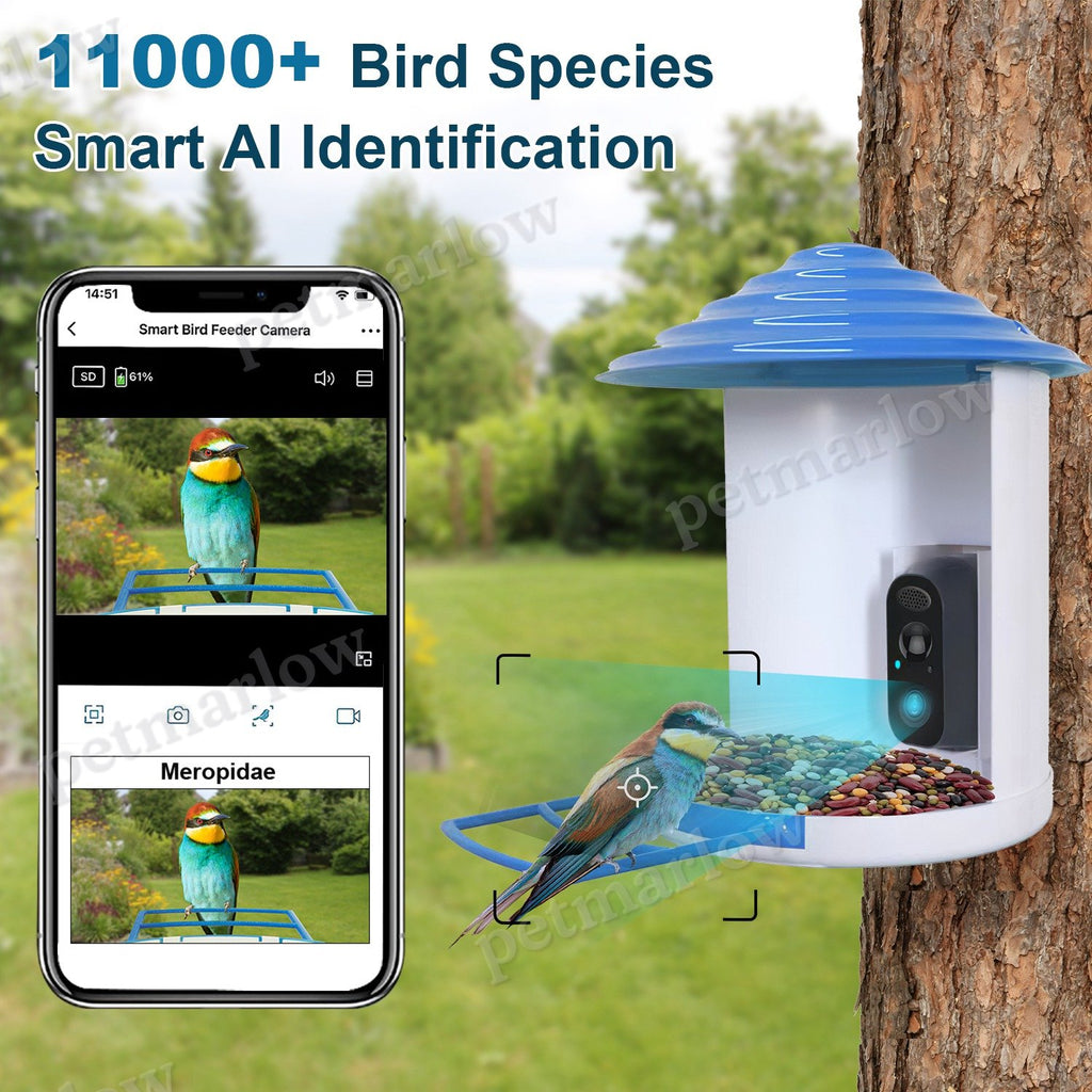 Smart Bird Feeder With Solar Camera for Bird Watching – view 6