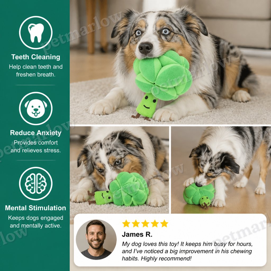 Sniffing Broccoli - Interactive Treat Toy – view 4