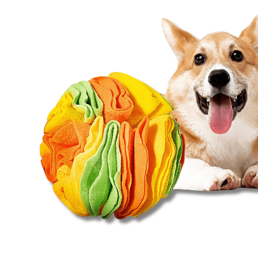 Interactive Snuffle Puzzle Ball for Dog Enrichment