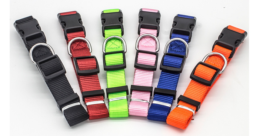 Soft Nylon Pet Collar for Dogs and Cats