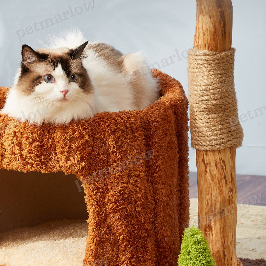 Solid Wood Cat Climbing Frame with Sisal – view 5