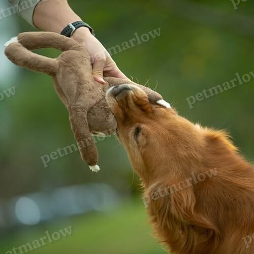 Squeaky Disk & Built-in Rope Dog Plush Toy for Dogs of All Breeds (Sloth) – view 2